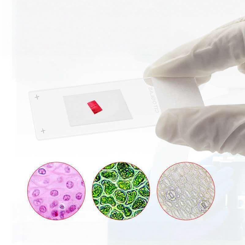 シトテスト 50枚入り 粘着式スライド 標準グレード顕微鏡ス - Pathology Slide Storage のレビューと価格
